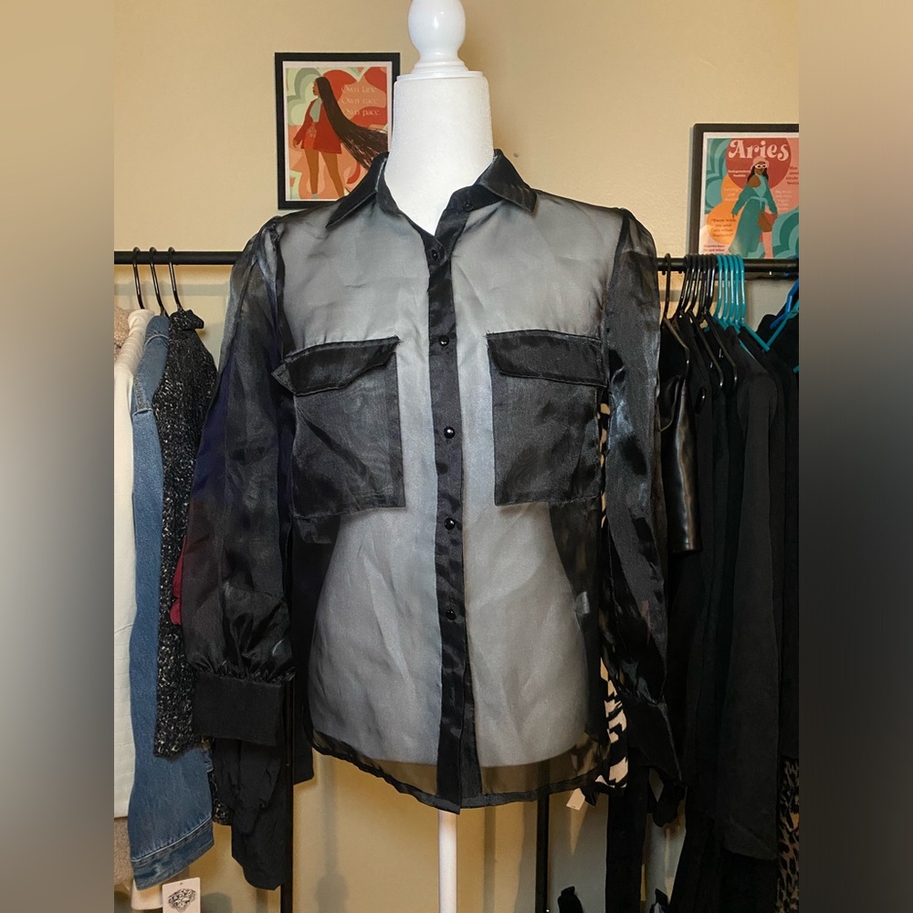 JLUXLABEL Sheer, long sleeve button blouse.